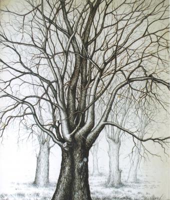 quot-alberi-spogli-al-giardi