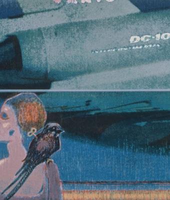 la-donna-l-aereo-e-l-uccelli