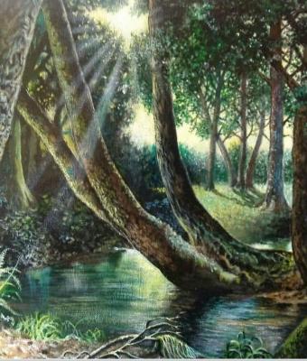 tra-gli-alberi