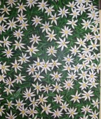 quotfiori-e-allusioniquot