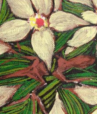 quotfiori-e-allusioniquot