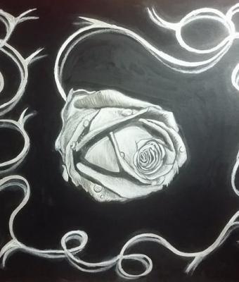 rosa