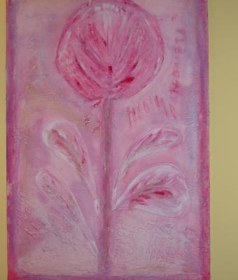 rosa-serie-flowers