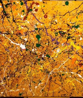 gangli-di-colori-n2