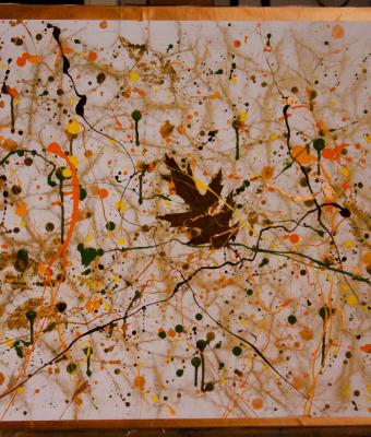 colori-d-autunno-n2