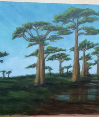 baobab