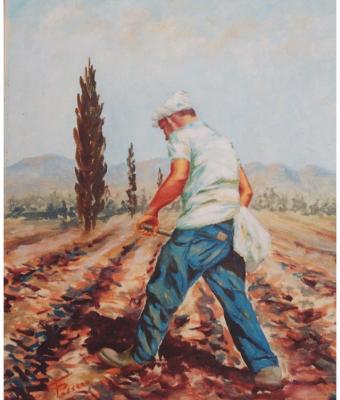 il-contadino