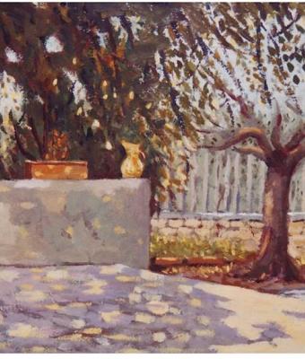 alberi-d-ulivo