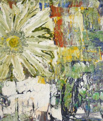 gerbera