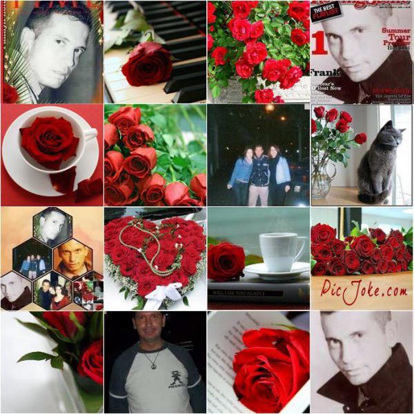 francesco-forever francesco-forever