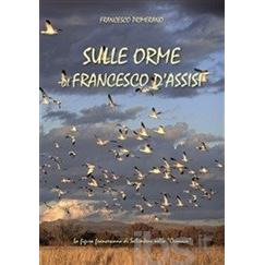 sulle-orme-di-francesco-d-assi