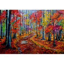 nel-sottobosco-appena-spiovuto