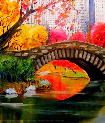 autumn-in-new-york-central-pa