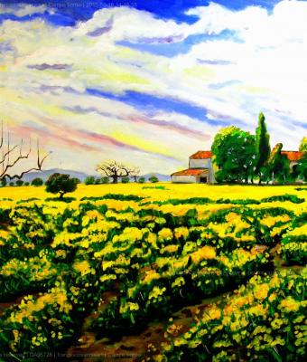 campo-fiorito