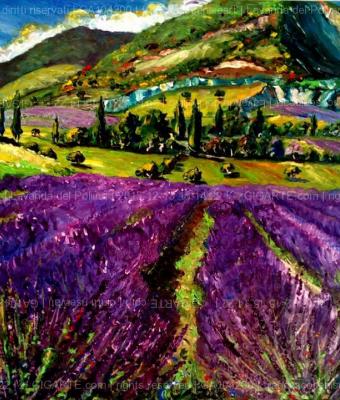 lavanda-del-poliino