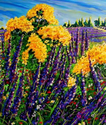 lavanda-e-fiori-di-campo-del-p