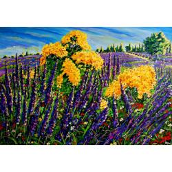 lavanda-e-fiori-di-campo-del-p
