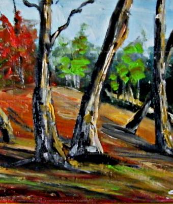 autunno-inoltrato