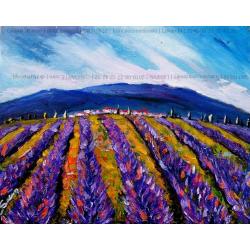 lavanda