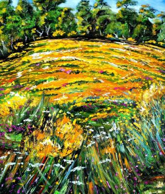 fiori-di-campo