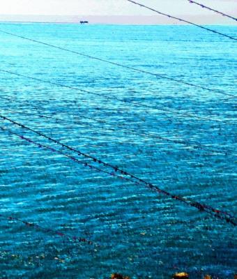 il-mare-di-peschici