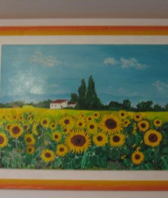 girasoli