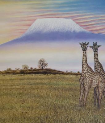 quotsognando-l-africaquot