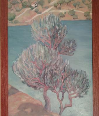 ulivi-sul-mare