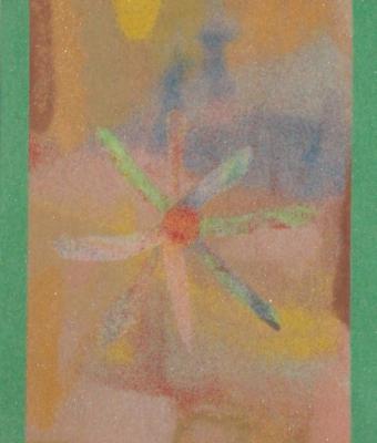 14-osservate-i-fiori-nei-camp