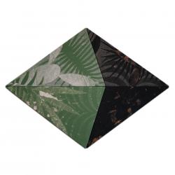 plants-and-minerals