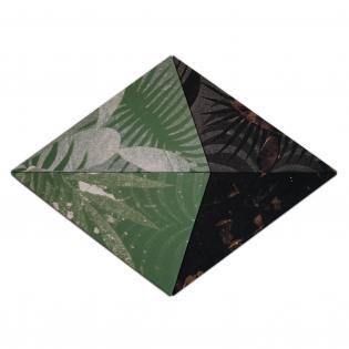 plants-and-minerals