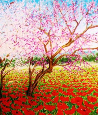 colori-della-primavera
