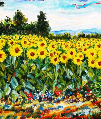 un-mare-di-girasoli-olio-su