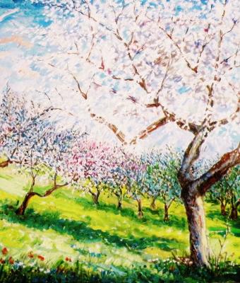 la-primavera-veste-il-suo-mant