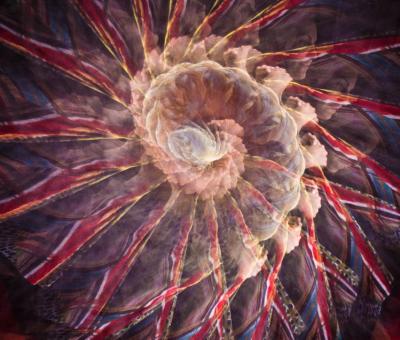 virgilio-patarini-martin-dokoupil-e-giampaolo-pasini-in-mostra