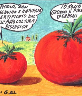 vignetta-042003-assistente