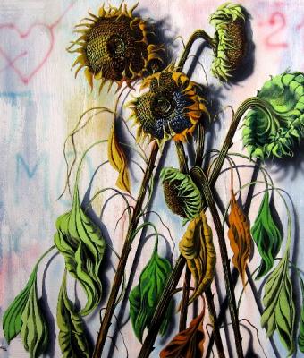i-miei-girasoli