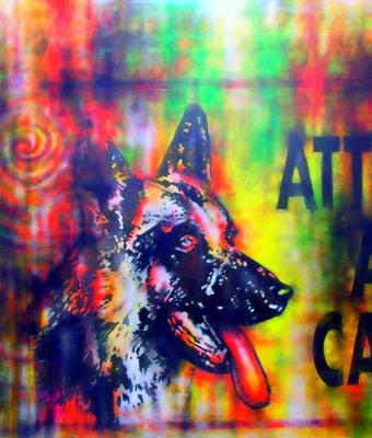dog-hologram