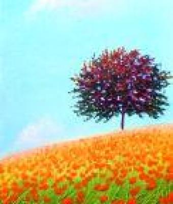 quotpendio-fiorito-in-rosso