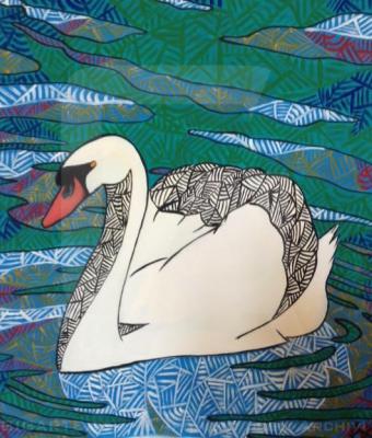 il-cigno
