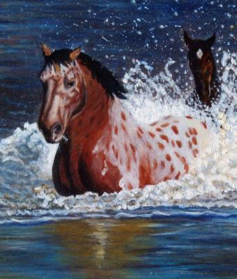 cavalli-al-guado