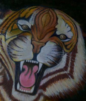 tigre
