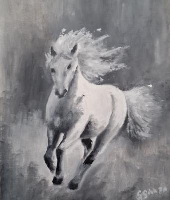 cavallo-e-vento