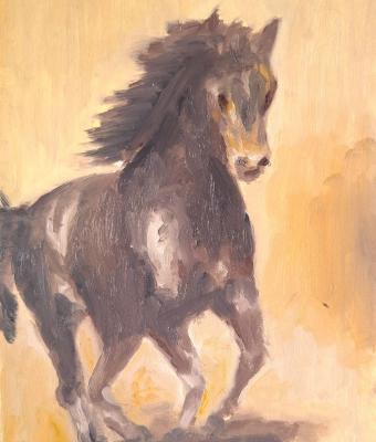 cavallo-libero