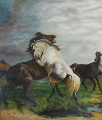 horse-fight