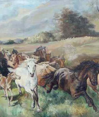 horsestud