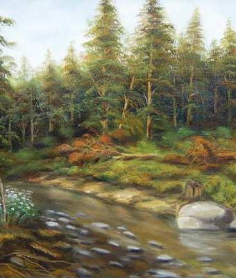 fir-forest-variant