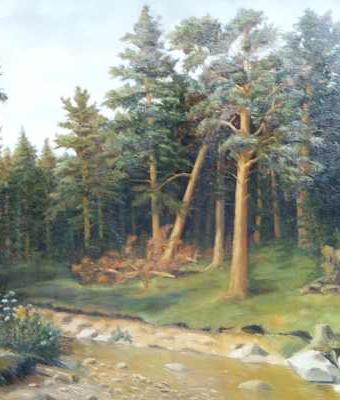 fir-forest-variant-2