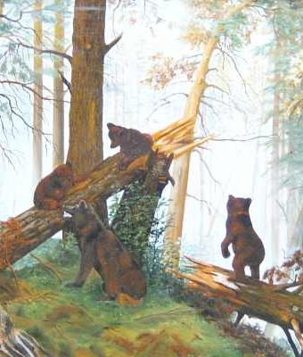 bears-in-forest-reproduction