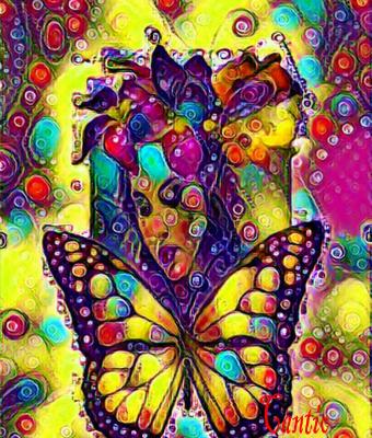 butterfly